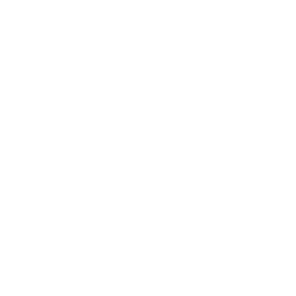 Esskay Periculi Fiscalis watermark logo